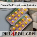 African Black Ant Pills new10